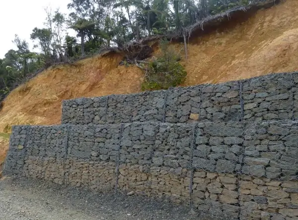 Landscaping & Architecture